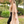 Load image into Gallery viewer, Cafe Au Lait - Duster Kimono