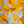 Load image into Gallery viewer, Poppy Field - Duster Kimono