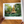 Load image into Gallery viewer, Now We Have Hope Book