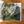 Load image into Gallery viewer, Now We Have Hope Book